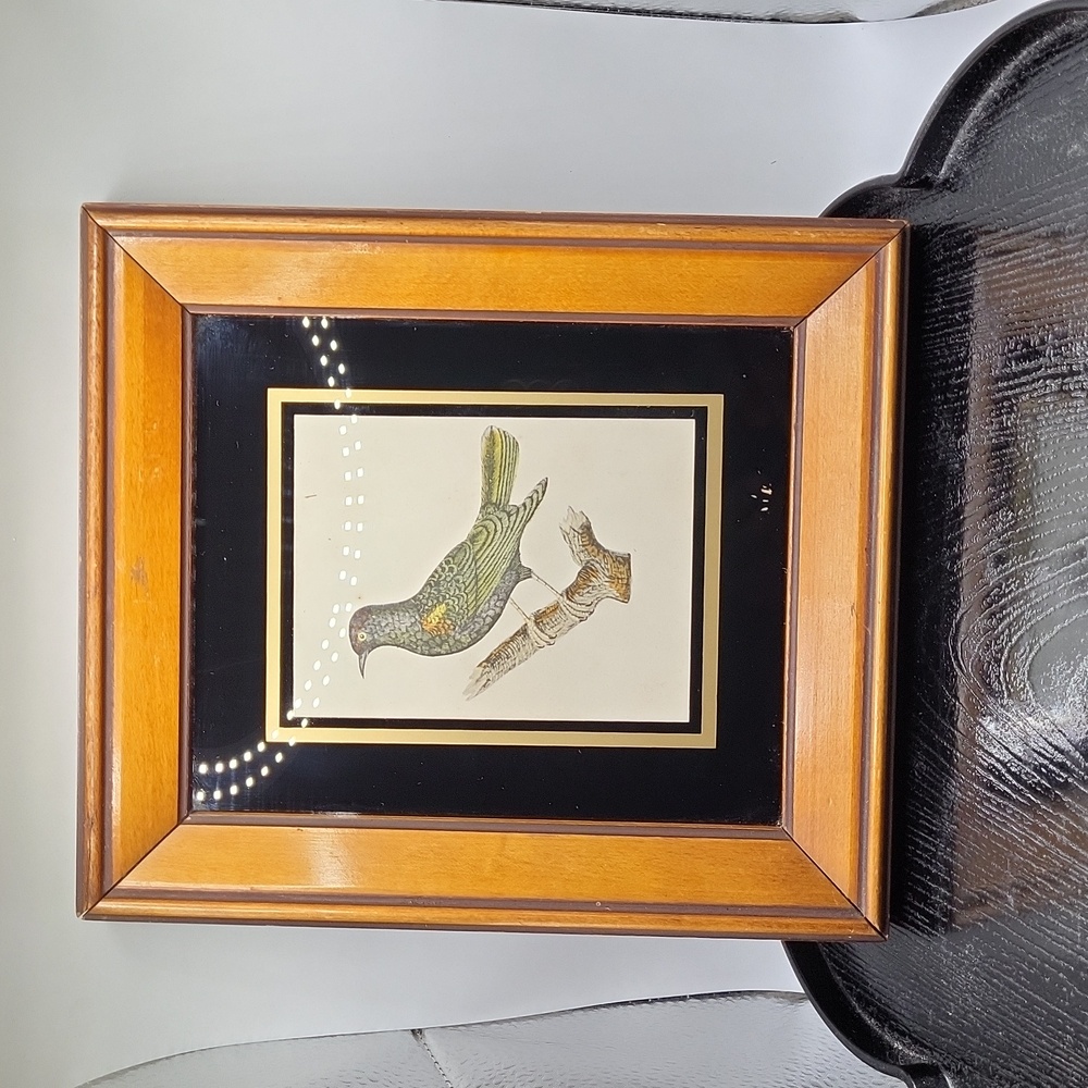Vintage Bird Print in Brown Frame and Black Matting. Great for Gallery Wall!
